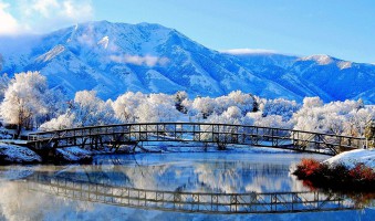 Закарпатье фото #21900