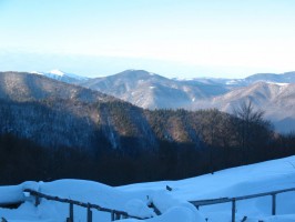 Закарпатье фото #21906