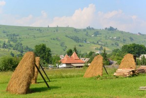 Закарпатье фото #21916