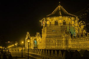 Канди фото #28685