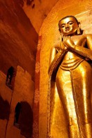 Паган фото #28769