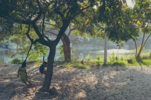 Мандалай фото #28813