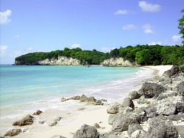 остров Мари-Галант фото #9865