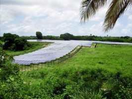 остров Мари-Галант фото #9867