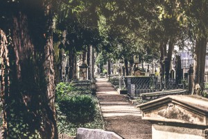 Бонн фото #26713