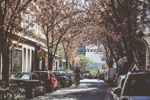 Бонн фото #26714