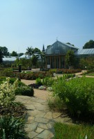 Бонн фото #26723