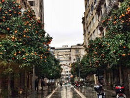 Салоники фото #32435