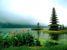 Остров Бали фото #17846