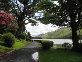 Голуэй фото #28145