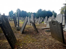 Дублин фото #28219