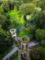 Корк фото #28235