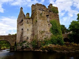 Корк фото #28236