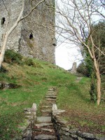 Корк фото #28237