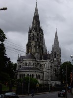 Корк фото #28241