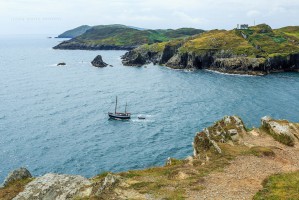 Корк фото #28246