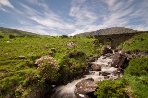 Корк фото #28248