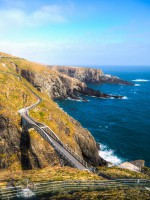 Корк фото #28250