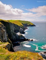 Корк фото #28260