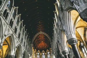 Корк фото #28265