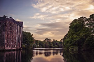 Корк фото #28269