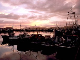 Дингл фото #7513