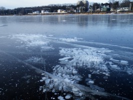 Лиелупе фото #23561