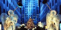 Главная рождественская елка США установлена в Нью-Йорке