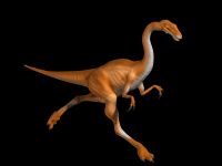 Нью-йоркский музей приглашает провести ночь в обществе динозавров