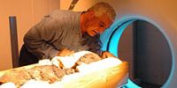 Египетские мумии проверят на подлинность