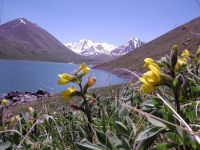 Киргизию признали безопасной для туристов