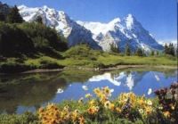 Количество горнолыжных курортов в Альпах может значительно сократиться