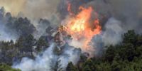 Лесные пожары на курортах Италии и Испании