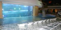 Отель Лас-Вегаса предлагает понаблюдать за акулами