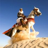 Семь арабских женщин совершат 15-дневное путешествие по ОАЭ верхом на лошадях