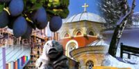 Сербия намерена развивать туристический бизнес