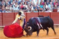 Телеканал Испании отказался показывать бой быков