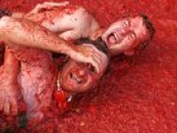 В Испании пройдут томатные бои