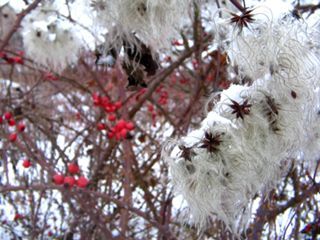 В Испании вновь наступила зима