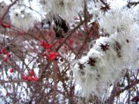 В Испании вновь наступила зима