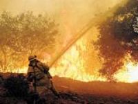 В туристических регионах Турции горят леса