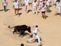 Во Франции запретили бег с быками