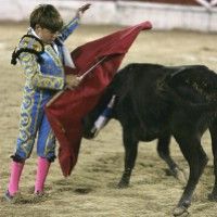10-летнему матадору, убившему 60 быков, не дают выступать во Франции 