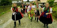 Фестивали вина начинаются в Венгрии