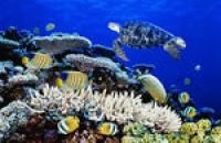  Фиджи открывает подводный отель