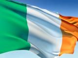 Ирландия принимает электронные анкеты на визу