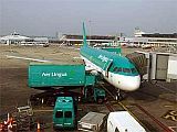 Ирландская авиакомпания случайно продала билеты в США по пять евро