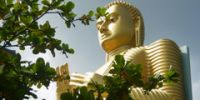Новые возможности перелета на Шри-Ланку сделают отдых удобнее