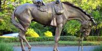 Памятник лошадям, погибшим под Аустерлицем, установят в Праге