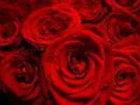 Саудовским влюбленным запретили дарить розы